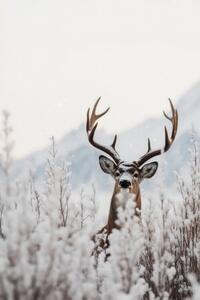 Fotografija Curious Deer, Treechild