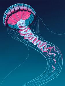 Ilustracija Lions Mane Jellyfish, Mark Harrison