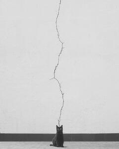 Umjetnička fotografija Cat thoughts, alizolghadri93, (30 x 40 cm)