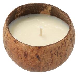 AtmoWood Mirisna svijeća od kokosa - Lavanda