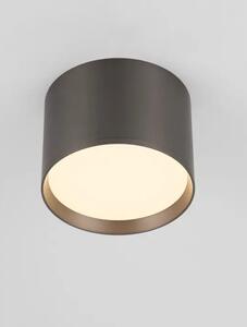 ZIAZA STROPNI REFLEKTOR SREBRNI LED 17W 833lm 3000K IP20 NL9695169
