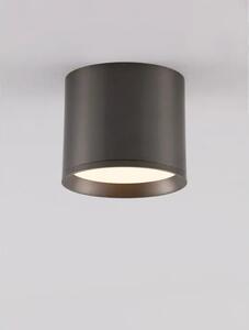 ZIAZA STROPNI REFLEKTOR SREBRNI LED 10W 505lm 3000K IP20 NL9695167