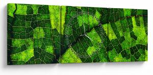Slika - Detalj lista (sa satom) (90x30 cm)