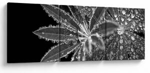 Slika - Lišće s kapljicama (sa satom) (90x30 cm)