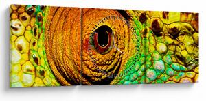 Slika - Kameleon (sa satom) (90x30 cm)