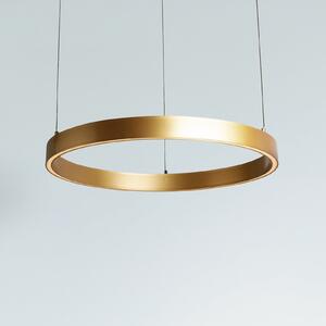 Searchlight Layla LED viseća svjetiljka, zlatna, Ø 64 cm CCT, podesive visine, prigušiva, Zlato / mjed, Dnevni boravak/blagovaonica, Metal