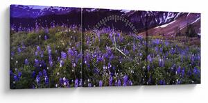 Slika - Vulkan i cvijeće (sa satom) (90x30 cm)
