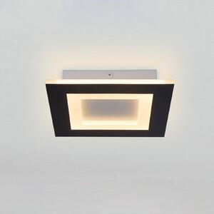 Searchlight LED stropna svjetiljka Squary, duljina 25 cm, crno-bijeli metal, CCT, prigušiva, Crno, Dnevni boravak/blagovaonica, Metal