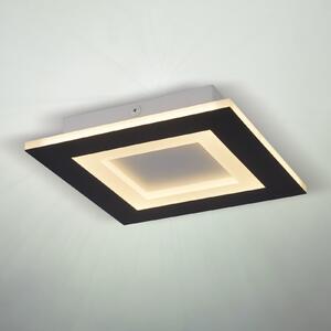 Searchlight LED stropna svjetiljka Squary, duljina 39 cm, crno-bijeli metal, CCT, prigušiva, Crno, Dnevni boravak/blagovaonica, Metal