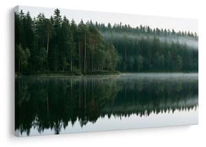 Slika maglovito jezero u šumi