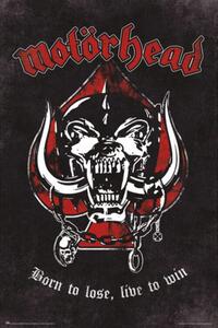 Poster Motorhead - Born To Lose, (61 x 91.5 cm)