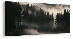Slika jutarnja izmaglica nad šumom