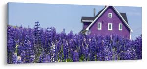 Slika polja lavande (120x50 cm)