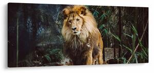 Slika lava u prirodi (120x50 cm)