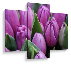Slika - cvijeće tulipana (90x60 cm)