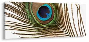 Slika paunovog perja (120x50 cm)