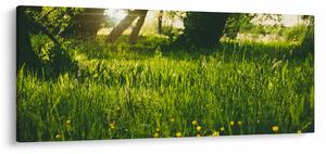 Slika prirode - livada (120x50 cm)