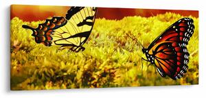 Slika leptira (120x50 cm)