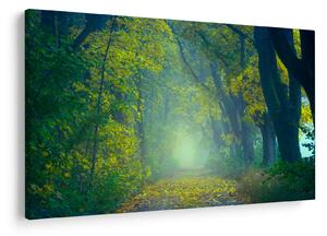 Slika staze obrubljene drvećem (90x60 cm)