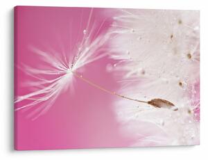 Slika - Makro cvijet (70x50 cm)