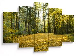 Slika - šuma u jesen (150x105 cm)