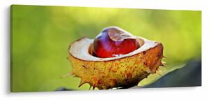 Slika kestena (120x50 cm)