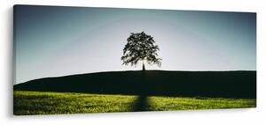 Slika prirode - stablo (120x50 cm)