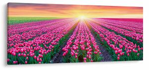 Slika polja tulipana sa suncem (120x50 cm)