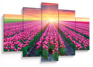 Slika polja tulipana sa suncem (150x105 cm)