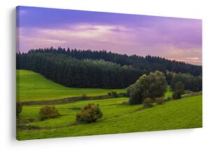 Slika livade (90x60 cm)