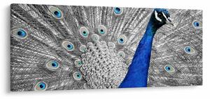 Slika - plavi paun (120x50 cm)