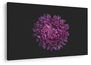 Slika ljubičastog cvijeta (90x60 cm)