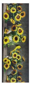 Univerzalni gazište Ricci Sunflowers, 52 x 100 cm