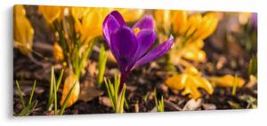 Slika ljubičastog cvijeta (120x50 cm)