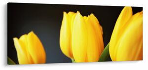 Slika tulipana (120x50 cm)