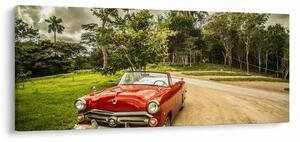 Slika - veteranski automobil u prirodi (120x50 cm)