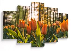 Slika - cvijeće tulipana (150x105 cm)