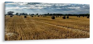 Slika ubranog polja žitarica (120x50 cm)