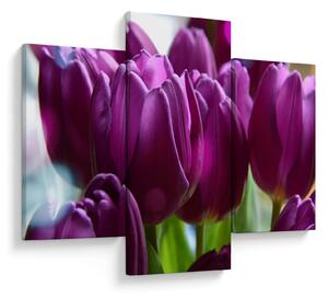 Slika tulipana (90x60 cm)