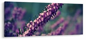 Slika lavande (120x50 cm)