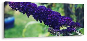 Slika plavog cvijeta (120x50 cm)