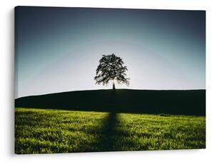 Slika prirode - stablo (70x50 cm)