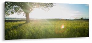 Slika ljetne livade (120x50 cm)
