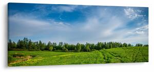Slika livade (120x50 cm)