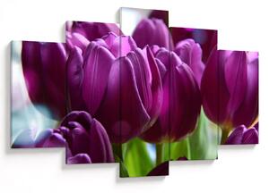 Slika tulipana (150x105 cm)