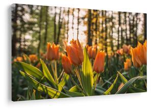 Slika - narančasti tulipani (90x60 cm)