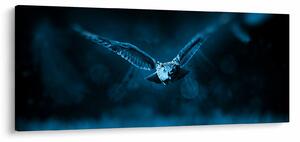 Slika leteće sove (120x50 cm)