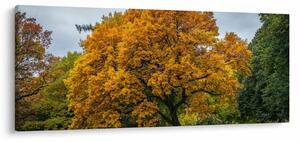 Slika stabla (120x50 cm)