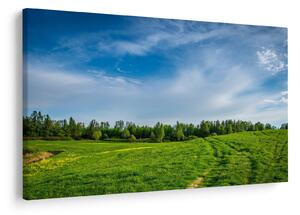 Slika livade (90x60 cm)