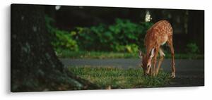 Slika malog laneta (120x50 cm)